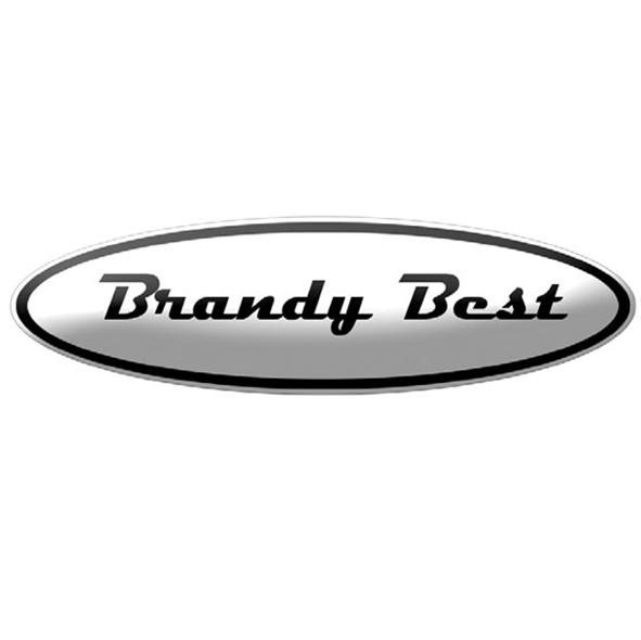 Brandybest Logo
